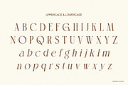 Canindya - Modern Elegant Luxury, a Serif Font by Qweera Studio (Thumbnail 12 of 12)