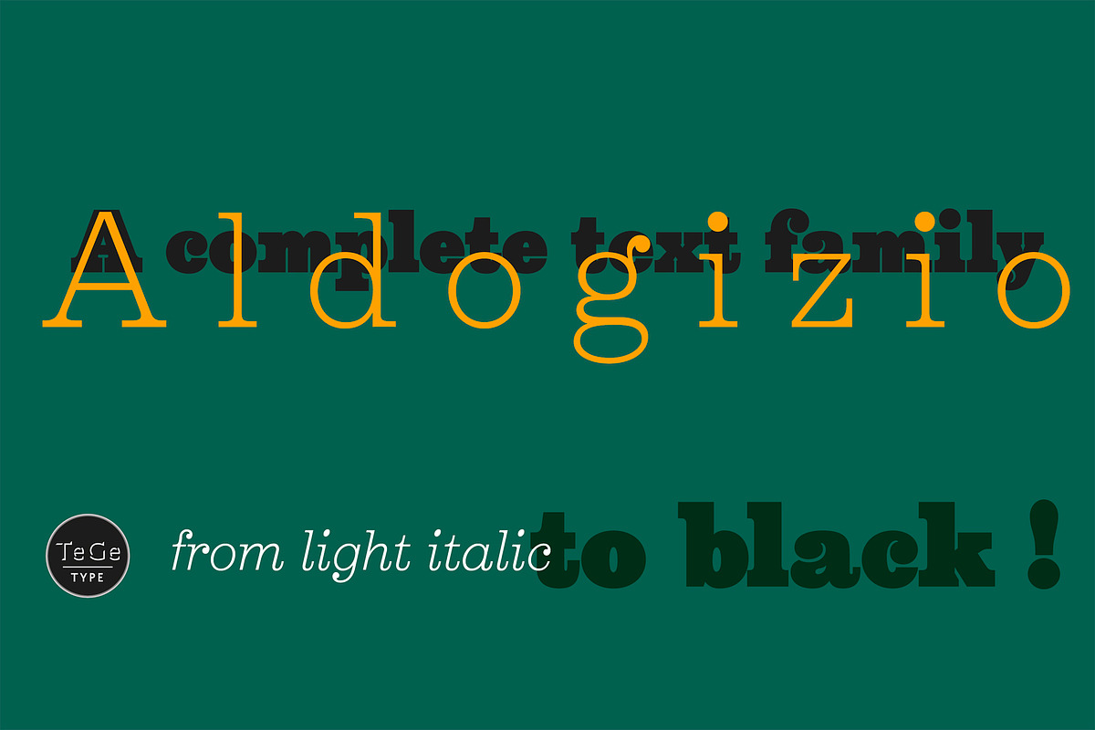 Aldogizio, a Serif Font by TeGeType foundry (Photo 1 of 7)