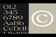 Uncmmn Stretched - 7 Style Serif, a Serif Font by Kotivoro (Thumbnail 3 of 18)