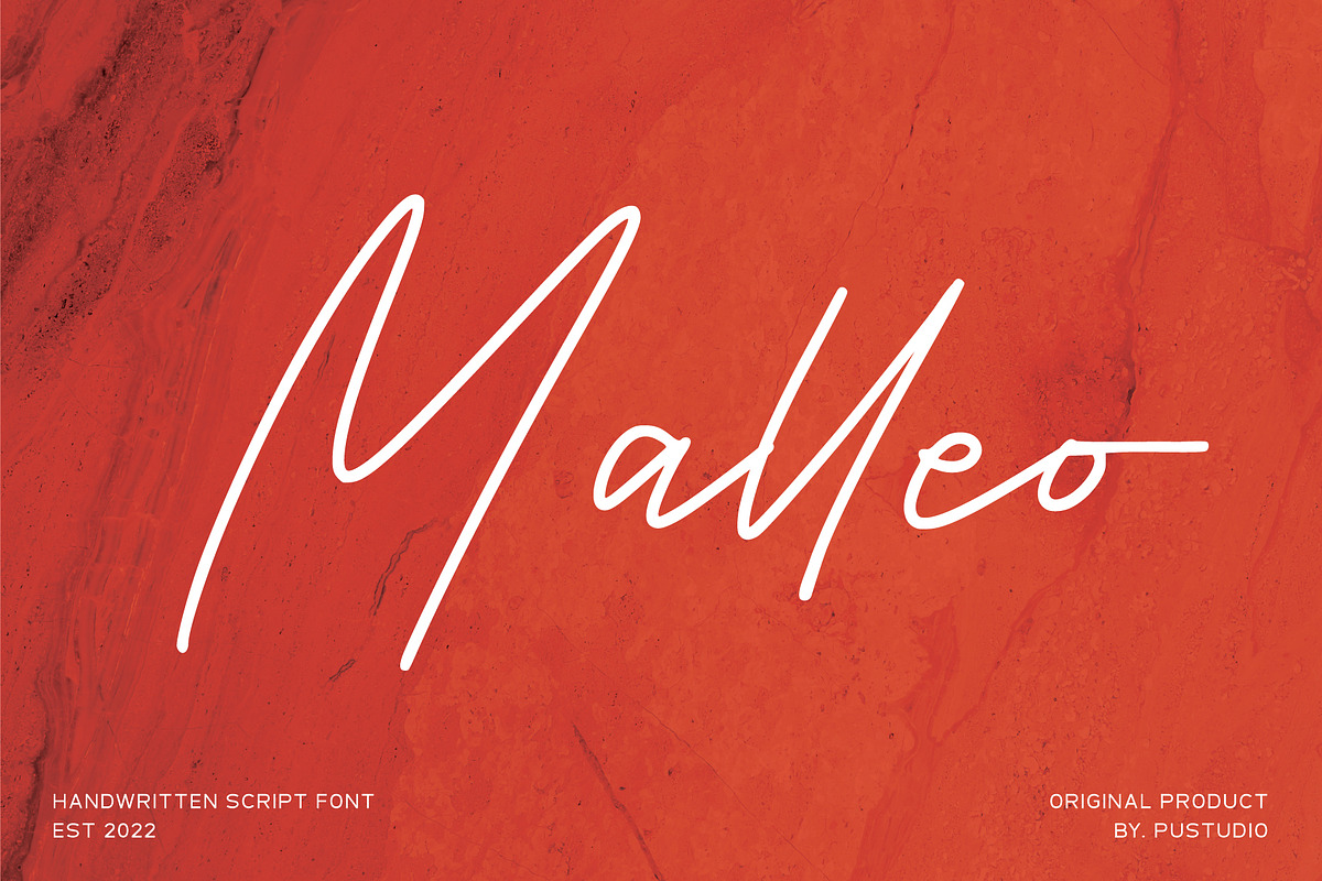Malleo, a Script Font by Pustudio (Photo 1 of 7)