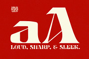 Highborn Gild - Sharp Blackletter, a Serif Font by HipFonts (Thumbnail 3 of 8)