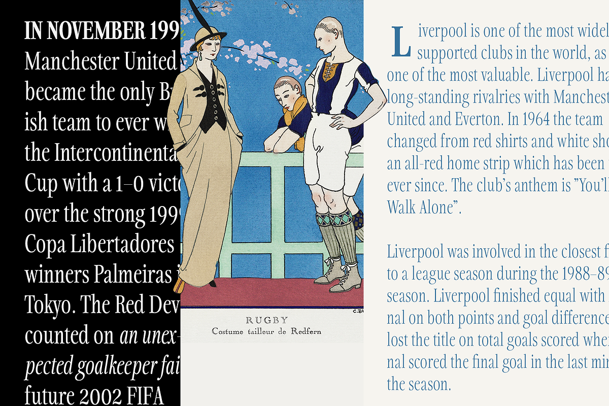 Fionas - 14 Fonts, a Serif Font by Nasir Udin (Photo 14 of 17)