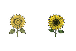 Sunflowers displayed side by side, a Nature Photo by ZinetroN