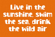 Beach Lemons - Playful Summer Font, a Handwritten Font by AQR Studio (Thumbnail 6 of 9)