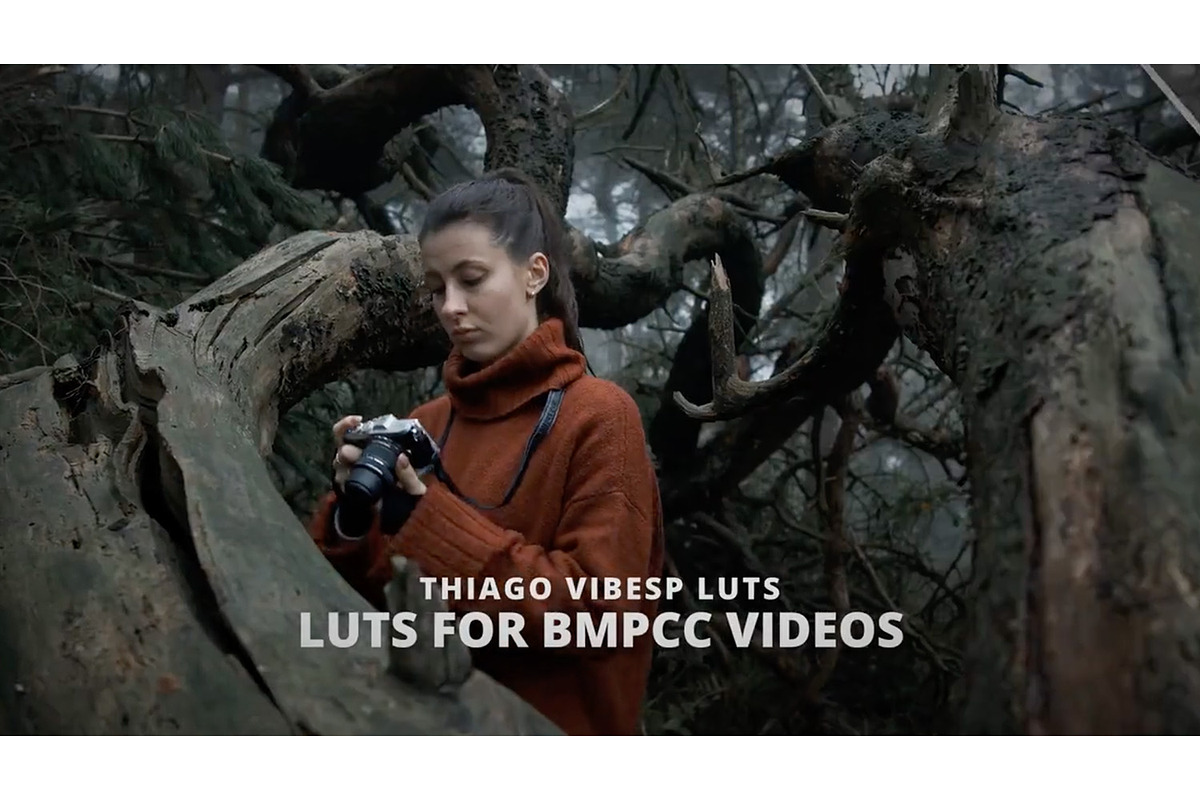 Cinematic BMPCC 4K and 6K LUTs, a Preset Add-On by Creative House (Photo 2 of 4)