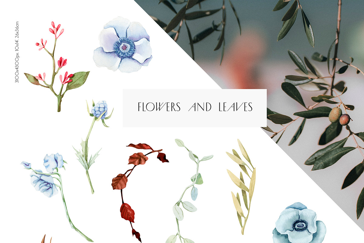 Ancient Greece Watercolor Clipart, a Decorative Illustration by Julia M. Watercolor (Photo 9 of 14)