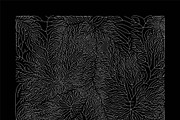 Growth - 10 Backgrounds, a Texture Graphic by GarryKillian (Thumbnail 4 of 11)