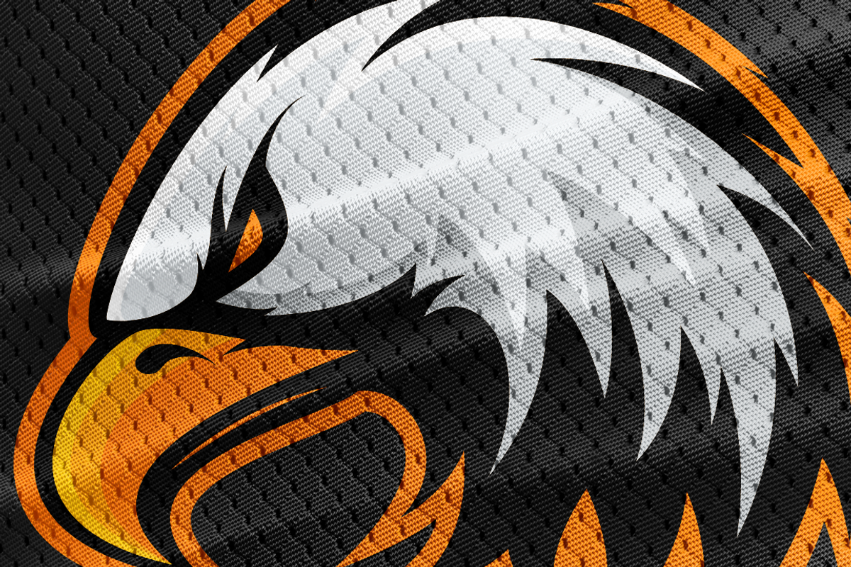 Eagle mascot sport logo design, an Animal Illustration by provector (Photo 2 of 3)