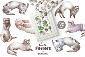 Cute Ferrets+patterns