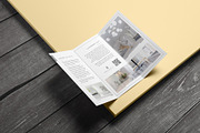 Penthouse XT Trifold Ai Template, a Brochure Template by fisihsani (Thumbnail 4 of 9)