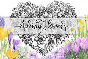 Spring Flowers Vector Set