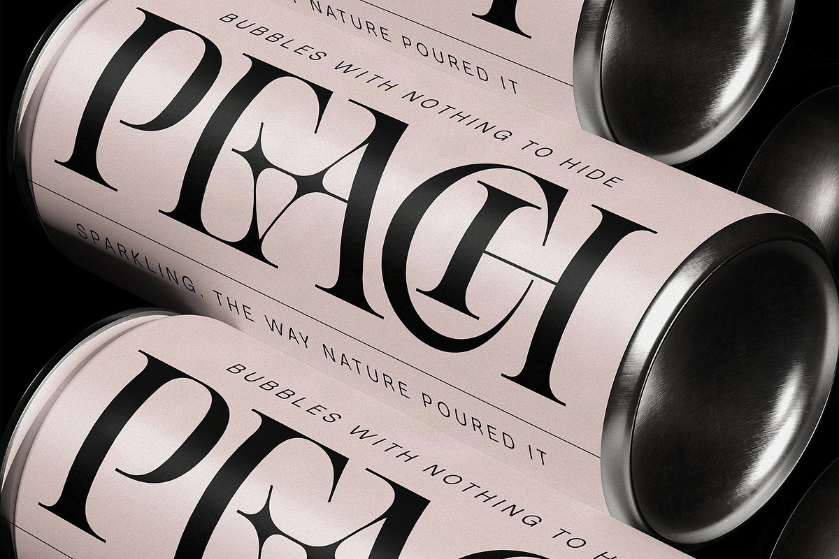 Spanish Archer - Ligature-Rich Font, a Serif Font by SilverStag Type Foundry (Photo 3 of 19)