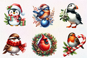 Christmas Birds Clipart, an Illustration by Dream Creation (Thumbnail 6 of 7)