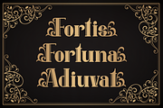 Belmotha Majoris Display Decorative, a Blackletter Font by Denustudios (Thumbnail 6 of 12)