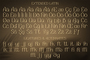 Angoba - Modern Luxury Serif Font, a Serif Font by Fedfonts (Thumbnail 3 of 7)