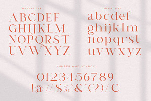 Dreams Note Family Serif Font