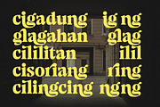 Volkgen Bold Modern Display Serif, a Serif Font by timelesstype.co (Thumbnail 10 of 15)