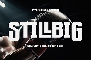 Stillbig - Display Sans Serif