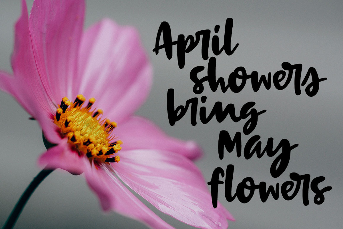 Terrapin: a scrappy handwriting font preview 4