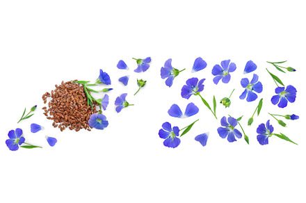 flax seeds with flower isolated on, a Food & Drink Photo by NataPhoto