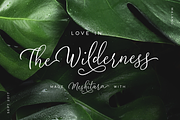 Meshitara Elegant Font, a Script Font by Typia Nesia (Thumbnail 1 of 11)