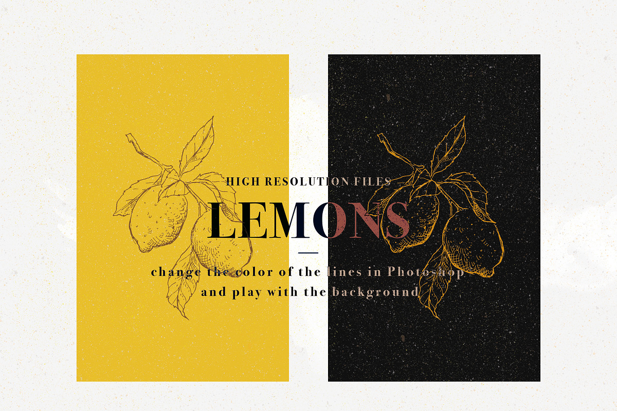 Lemons set of 11 pen sketches, a Decorative Illustration by Bee_in_a_Nest (Photo 2 of 2)