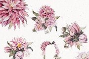 Watercolor Dahlia Floral Elements, a Decorative Illustration by Damian Roh (Thumbnail 9 of 12)