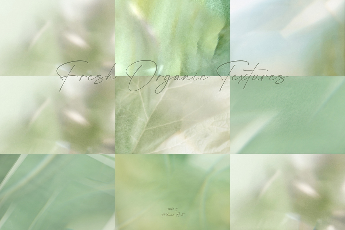 110 Ethereal Green Backgrounds, an Abstract Photo by Allure Art (Photo 18 of 32)