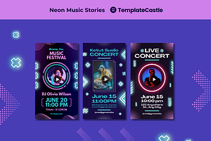 Neon Music Festival Instagram Story, a Templates & Theme by TemplateCastleStore