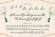 BistroScrawl Handwriting Script Font, a Script Font by Inviline.co (Thumbnail 9 of 10)