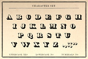 The Striped Pig Display Font, a Serif Font by New Blazing Star Press (Thumbnail 2 of 3)