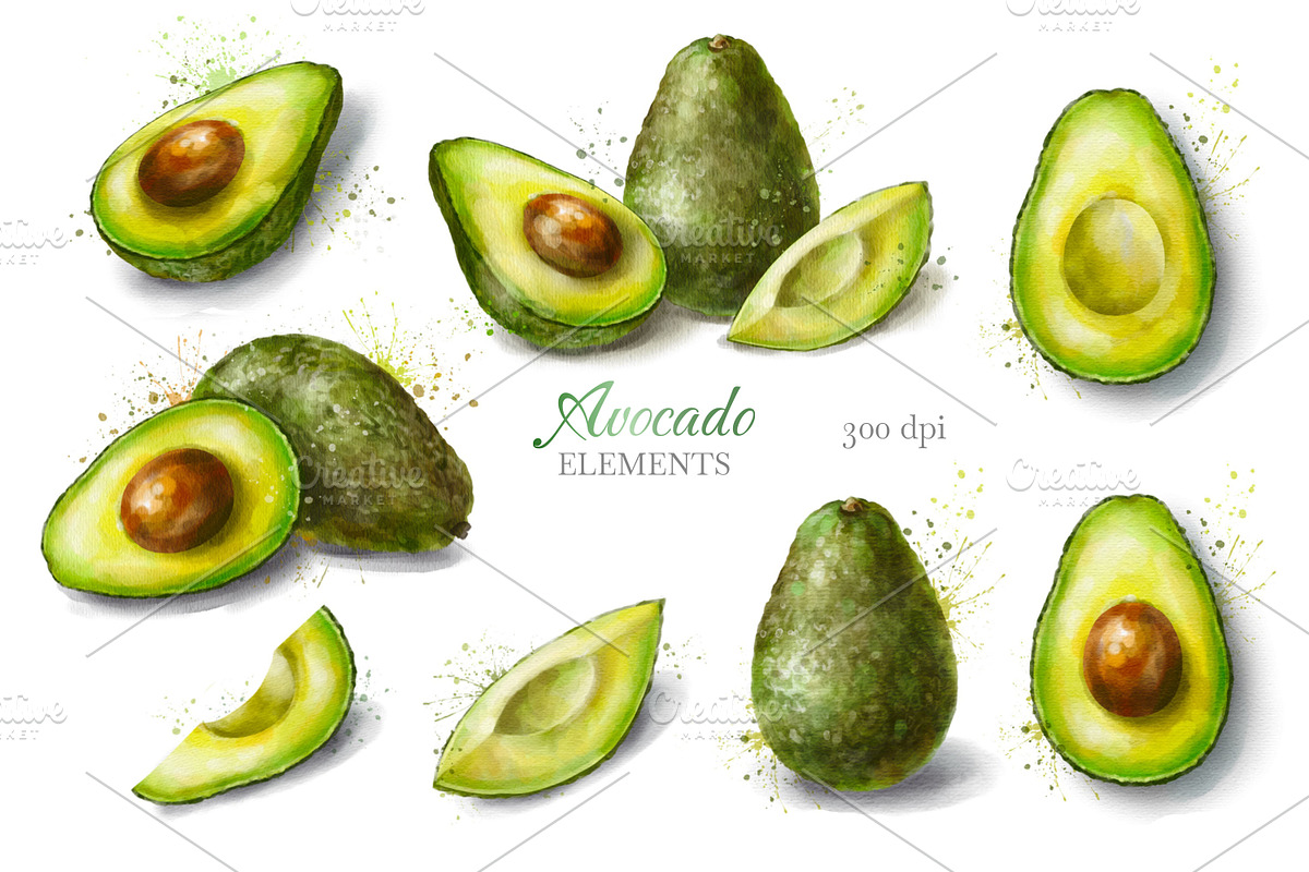 Avocado Watercolor Collection., a Decorative Illustration by VetaDesign (Photo 4 of 8)