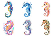 Seahorse Watercolor Clipart PNG, an Illustration by SinaCreation (Thumbnail 2 of 5)