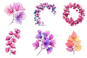 Bougainvillea Flower Clipart Bundle, an Illustration by Dream Creation (Thumbnail 6 of 6)