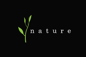 Minimalist Leaf Emblem Logo, a Branding & Logo Template by Maylianaw28