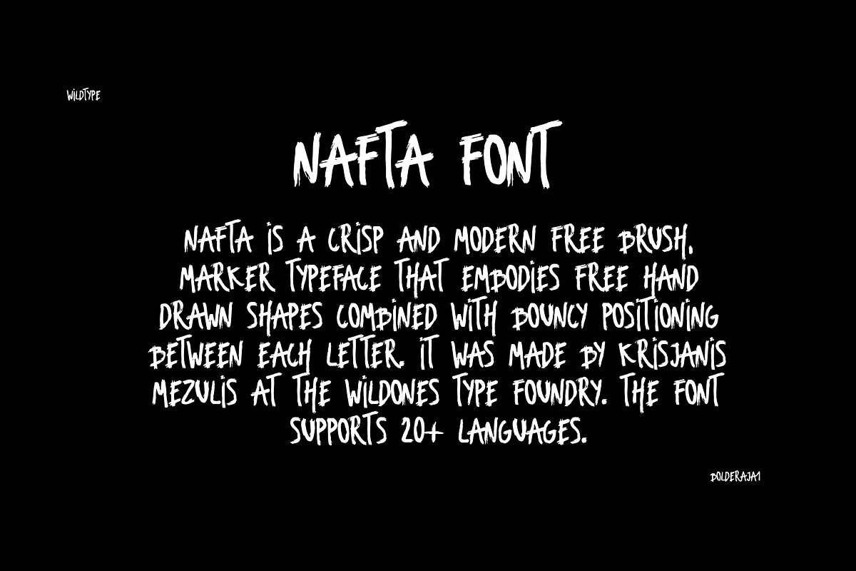 Nafta Light Marker Font, a Script Font by Bolderaja1 Studio (Photo 2 of 10)