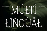 CS Lucien Drawn, a Serif Font by Craft Supply Co. (Thumbnail 4 of 8)