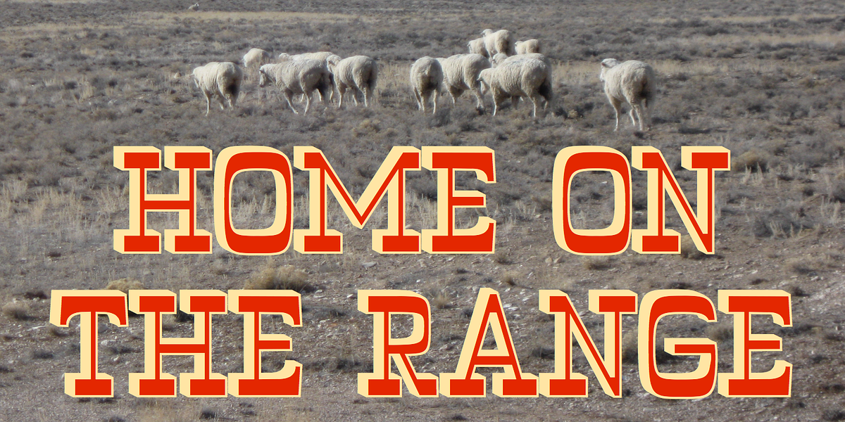 WyomingPastad, a Slab Serif Font by Ingrimayne Type (Photo 1 of 5)