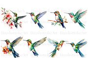 Hummingbird Clipart, Hummingbirds, an Animal Illustration by BrushstrokeArtGB (Thumbnail 3 of 8)