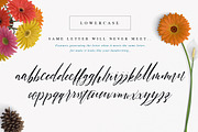Halosense Script, a Script Font by Adam Fathony (Thumbnail 2 of 12)