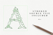 Floral Secret Island TTF, a Script Font by Drifter Studio (Thumbnail 5 of 6)