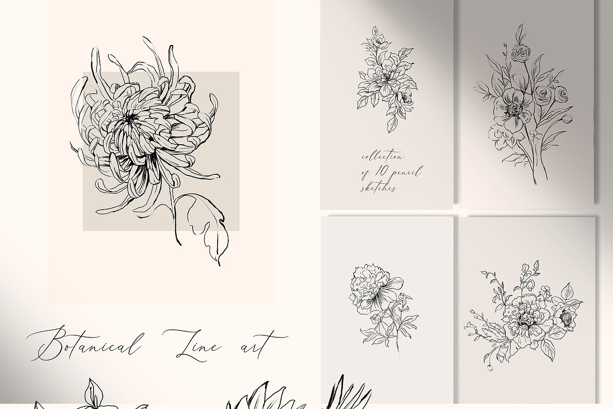 LINE IN ART-female collection, an Illustration by Natalia Tugova (Photo 6 of 15)