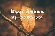Macro Autumn photo bundle, a Templates & Theme by ApertureVintage (Thumbnail 8 of 21)