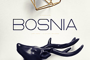 Bosnia - Sans Serif font | 2 styles, a Sans Serif Font by VP Fonts (Thumbnail 1 of 10)