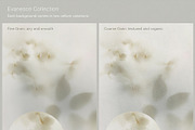 Blur Botanical Vellum Backgrounds, a Background Graphic by alonahaidash (Thumbnail 6 of 14)