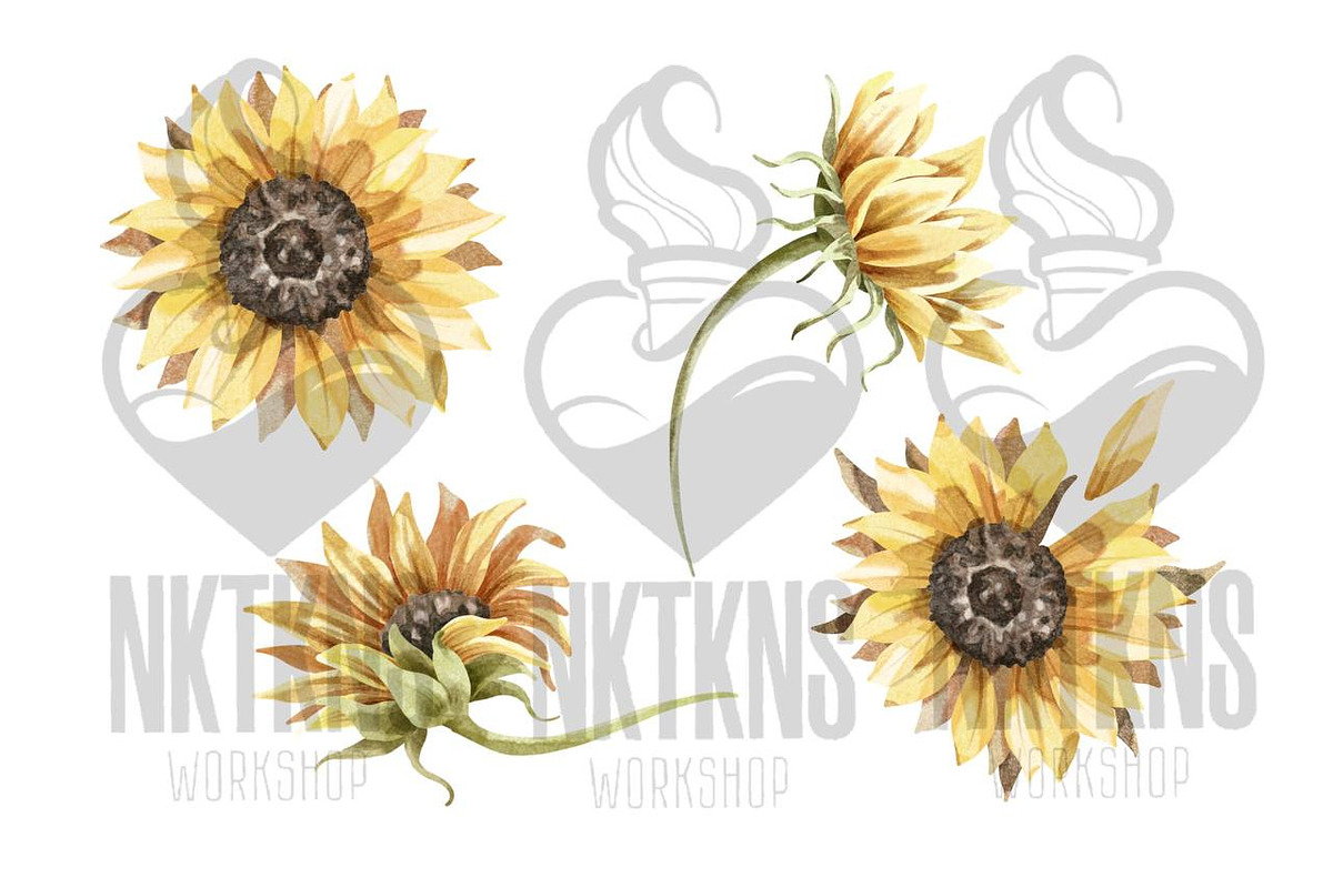 Sunflowers Watercolor Clipart., a Decorative Illustration by NKTKNS (Photo 2 of 6)