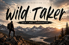 Wild Taker — Bold Brush Script Font