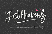 Just Heavenly Brush Font & Extras, a Script Font by Nicky Laatz (Thumbnail 1 of 12)