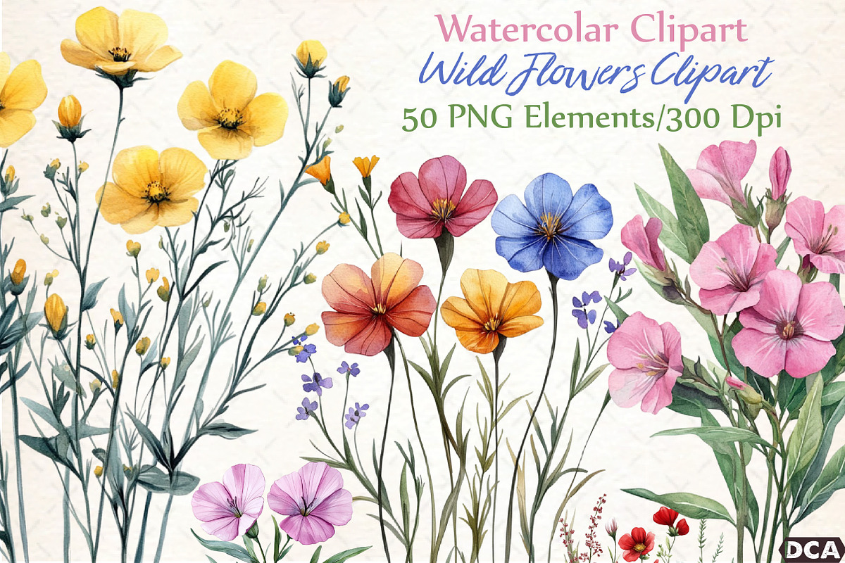 Wild Flowers Watercolor Clipart PNG, an Illustration by DreamCafeArt (Photo 1 of 7)