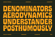 Notre - Plus Bonus Photos, a Sans Serif Font by Flavortype (Thumbnail 2 of 16)